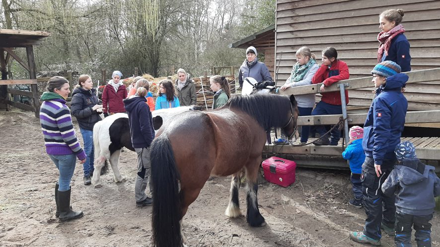 Ponyschule der Tierversorger