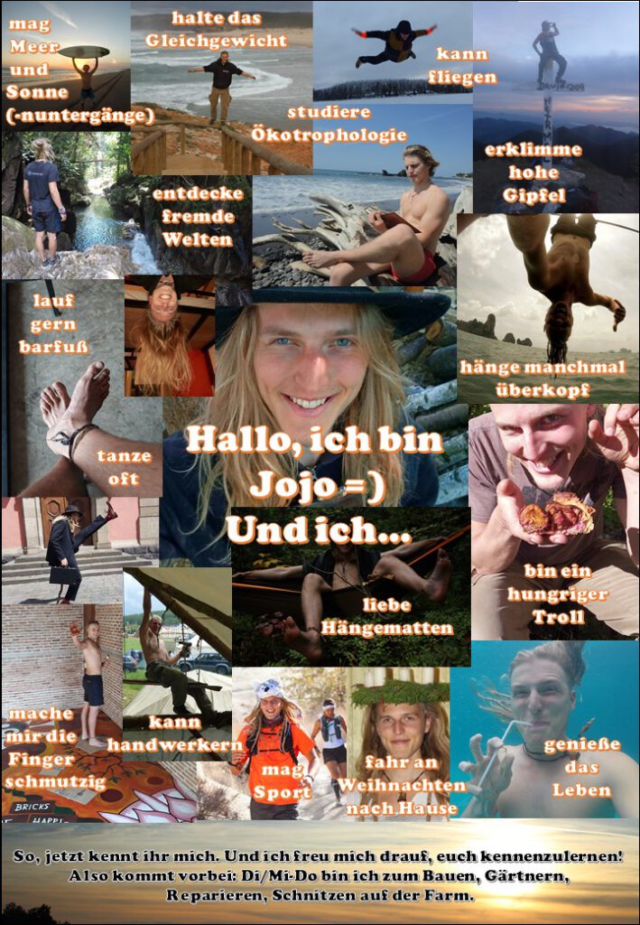 "Das Große Backen": Im Halbfinale: Unfaire Aufgabe? Diese Bilder Sagen Mehr Als Tausend Worte! - 27w3pyy