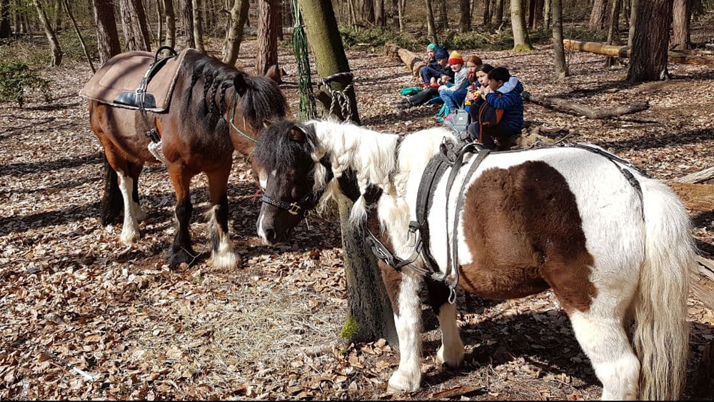 Spaziergang mit Kindern und ponys - bei einer Rast