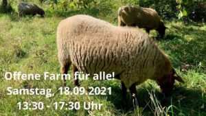 Read more about the article Familientag am 18.09 mit Apfelsaftherstellung