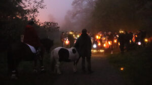 Read more about the article Unsere Ponys beim Martinsumzug des Waldkindergartens Dreieich