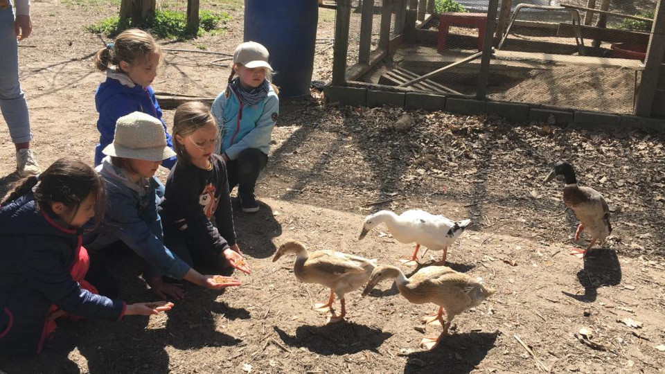 fünf Kinder füttern die Laufenten