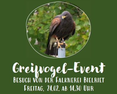 Read more about the article Greifvogelbesuch am 24.02. ab 14.30 Uhr!