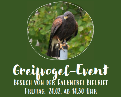 Sitzender Greifvogel