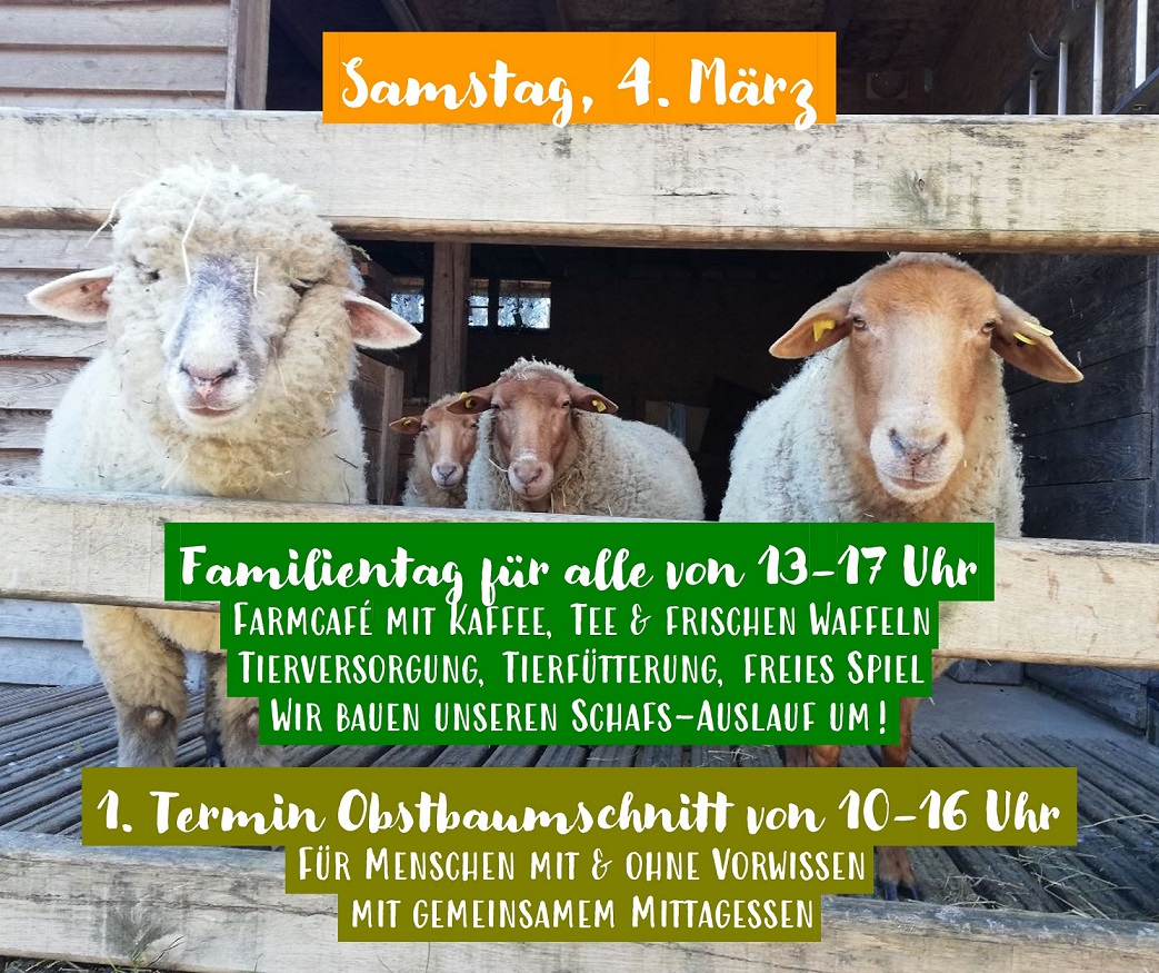 You are currently viewing Familiensamstag & Obstbaumschnitt am 04.03.