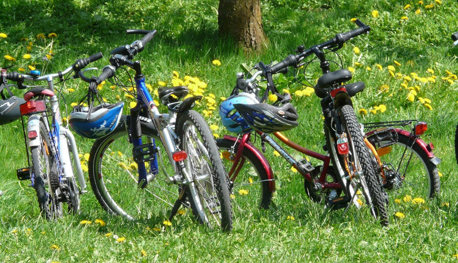 Fahrräder auf einer grünen Wiese