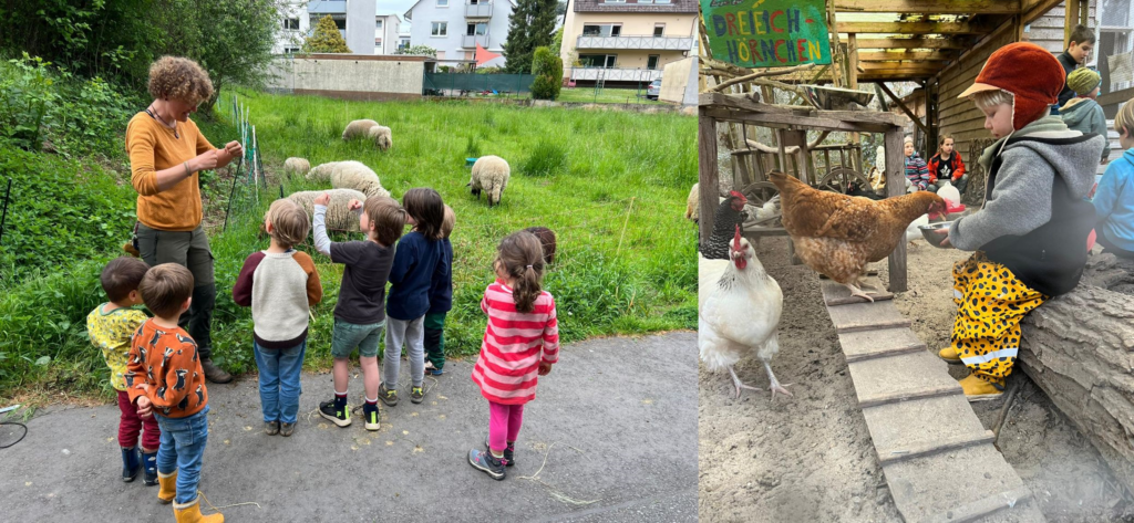 Kinder bringen Schafe auf die Weide und füttern Hühner