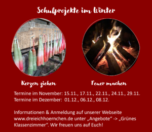 Read more about the article Winter-Schulprojekte ab jetzt buchbar!