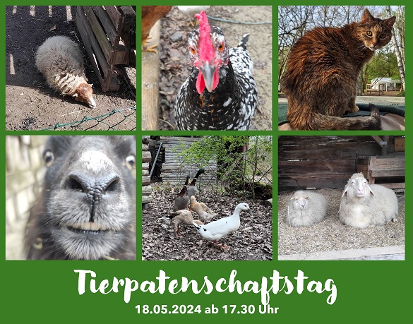 You are currently viewing Tierpatenschaftstag am 18.05. ab 17.30 Uhr
