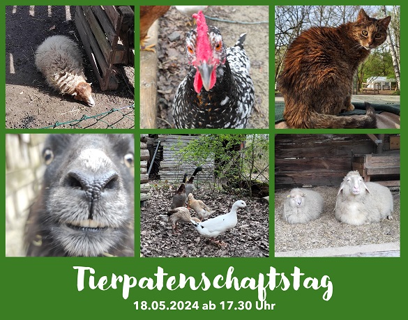 Read more about the article Tierpatenschaftstag am 18.05. ab 17.30 Uhr