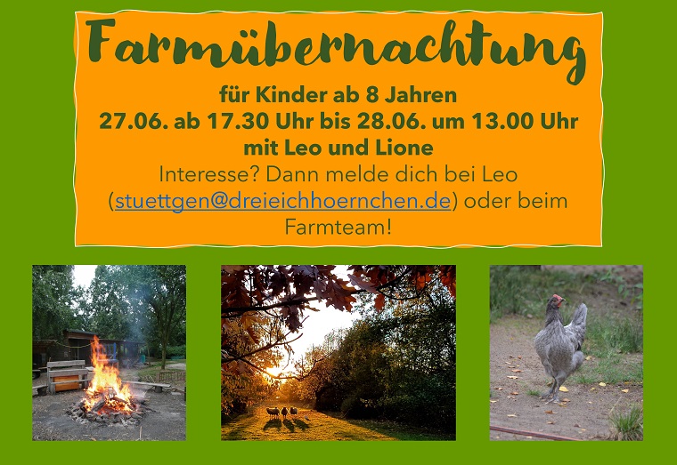 Mehr über den Artikel erfahren Farmübernachtung für Kinder ab 8 Jahren