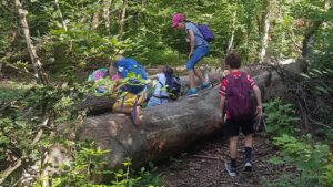 Mehr über den Artikel erfahren Der Ruf der Wildnis – Osterferienspiele