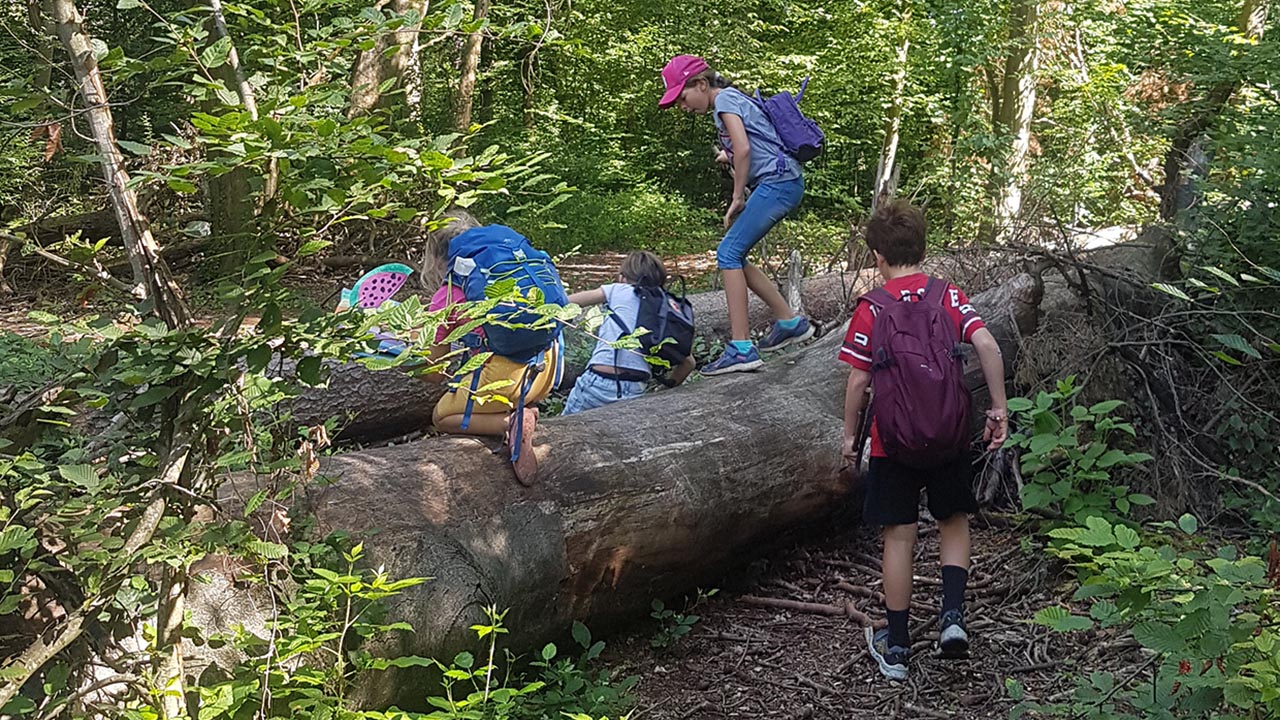 Kinder mit Rucksack klettern im Wald über einen großen umgefallenen Baum